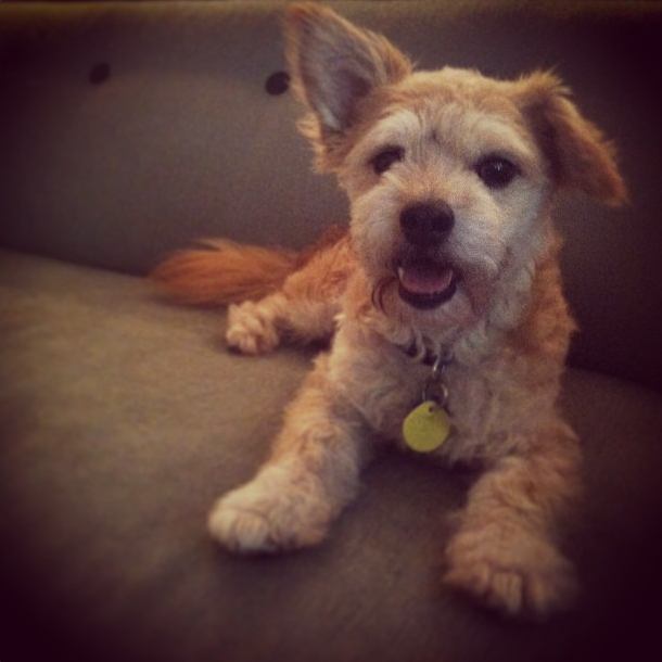 Jumping! Onto the couch.