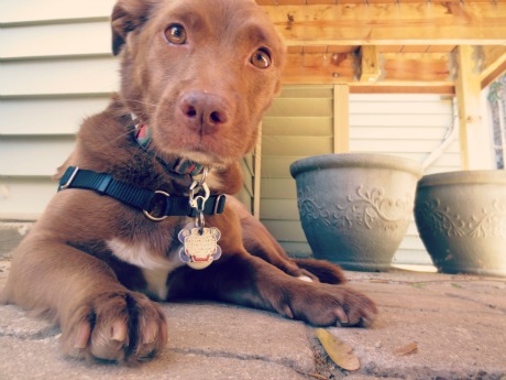 Ginger Porch