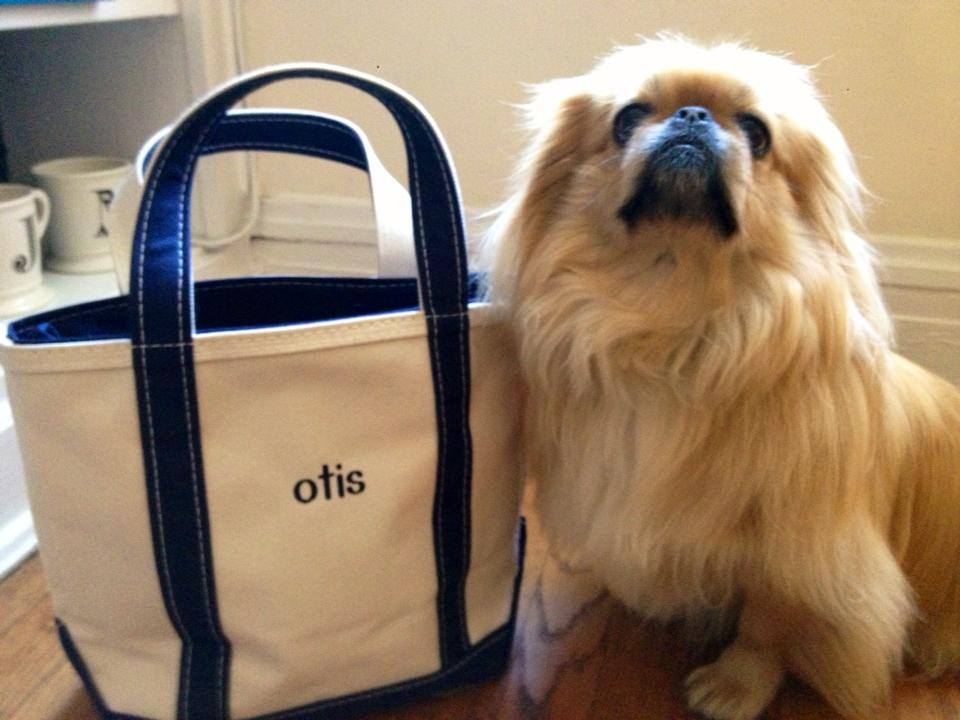 Otis