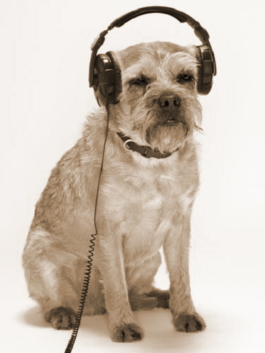 dog_wearing_headphones_sepia3