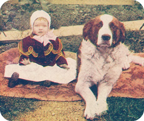 Antique Dog Photos via Flickr / Creative Commons