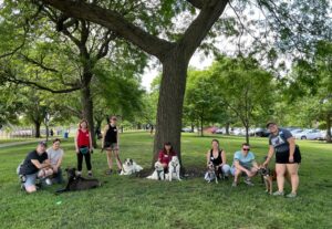 Rover-Time dog walking group, Collar Club